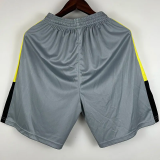 23-24 Gremio Grey training Shorts Pants