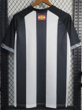23-24 Figueirense SC Home Fans Soccer Jersey