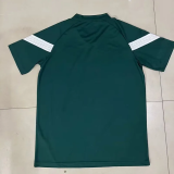 2023 Flamengo Green Training shirts