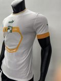 22-23 Cote d'Ivoire Away Fans Version Soccer Jersey