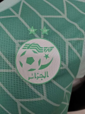 23-24 Algeria Grey Green Special Edition Player Version Soccer Jersey