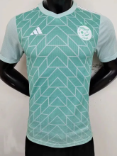 23-24 Algeria Grey Green Special Edition Player Version Soccer Jersey