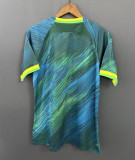 2023 Brazil Special Edition Fans Training Soccer Jersey