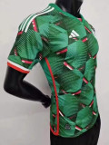23-24 Algeria Special Edition Player Version Soccer Jersey