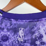 22-23 LAKERS JAMES #6 Purple Top Quality Hot Pressing NBA Jersey (荣耀版)