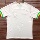 22-23 Brazil White Special Edition Fans Soccer Jersey (袖边绿色)