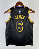 2024 LAKERS JAMES #6Top Quality Hot Pressing Kids NBA Jersey