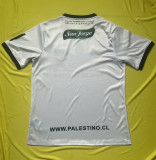 2023 Palestine Fans Version Soccer Jersey