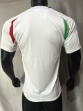 2024 Italy European Cup Away Player Version Soccer Jersey