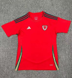 2024 Wales European Cup Home Fans Version Soccer Jersey
