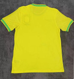 22-23 Brazil Special Edition Fans Training Soccer Jersey
