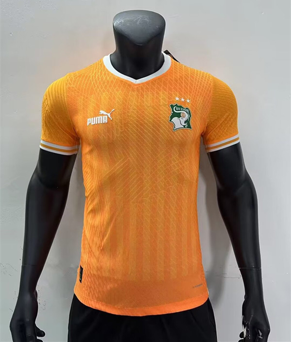 22-23 Cote d'Ivoire 3 stars Player Soccer Jersey