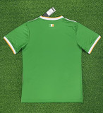2024 Celtic Special Edition Fans Soccer Jersey