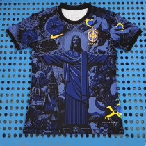 2024 Brazil Special Edition Fans Training Soccer Jersey