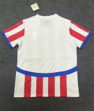 2024 Paraguay Home Fans Soccer Jersey