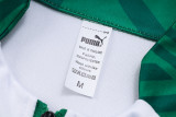 23-24 Palmeiras High Quality Jacket Tracksuit