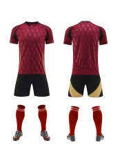 2024 Team Custom Footbal Uniform ，Customize Your Requirements (Not included Socks)