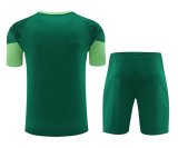 24-25 Palmeiras High Quality Training Short Suit