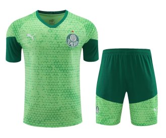 24-25 Palmeiras High Quality Training Short Suit