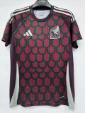 24-25 Mexico Home Fans Version Soccer Jersey