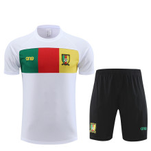 23-24 Cameroon High Quality Training Short Suit