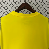 24-25 Flamengo Yellow Training shirts