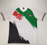 2024 Palestine Fans Version Soccer Jersey