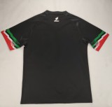 2024 Palestine Fans Version Soccer Jersey