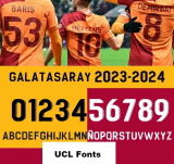 24-25 Galatasaray Home Fans Soccer Jersey