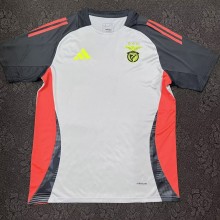 24-25 Benfica Special Edition Fans Soccer Jersey