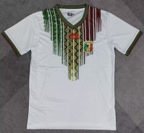 24-25 Mali Home Fans Soccer Jersey