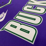 22-23 BUCKS ANTETOKOUNMPO #34 Purple Top Quality Hot Pressing NBA Jersey (Retro Logo)