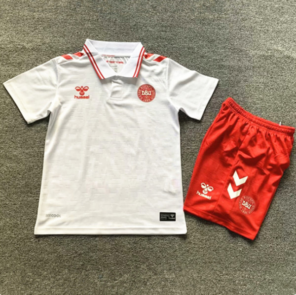 2024 Denmark European Cup Away Kids Soccer Jersey