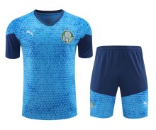 24-25 Palmeiras High Quality Training Short Suit