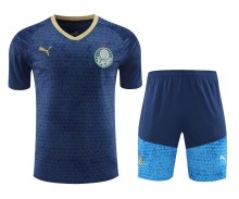 24-25 Palmeiras High Quality Training Short Suit