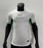 24-25 Nigeria Home Player Version Soccer Jersey