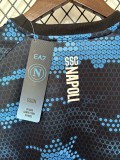 24-25 Napoli Special Edition Fans Soccer Jersey