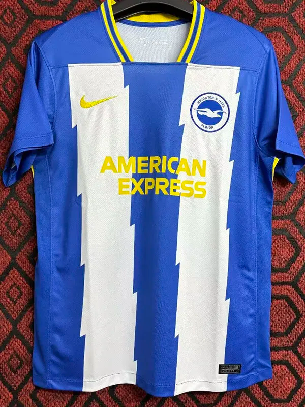 24-25 Brighton Special Edition Fans Soccer Jersey