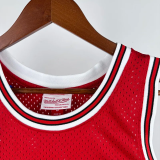 1984-85 BULLS JORDAN #23 Red Retro Top Quality Hot Pressing NBA Jersey