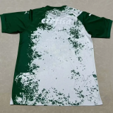 24-25 Palmeiras White Special Edition Training shirts