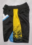 2024 Indiana Pacers Embroidery Top Quality NBA Pants