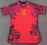 24-25 Spain Fans Soccer Jersey