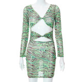 Plus Size Dress 2022 summer color printed sexy design slimming dress