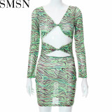 Plus Size Dress 2022 summer color printed sexy design slimming dress