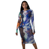 Round Neck Long-Sleeved Mesh Print Sexy See-Through Slim Long Dress