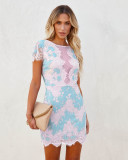 Plus Size Dress Amazon 2022 spring and summer new round neck lace mesh patchwork elegant dress