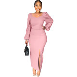 Fashion dress for women chiffon sleeves backless zipper sexy sheath split dress