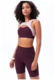 Women Sports Bra Leggings Yoga Set Jersey Gym Vest Fitness Outfit Tracksuit Sweatsuit