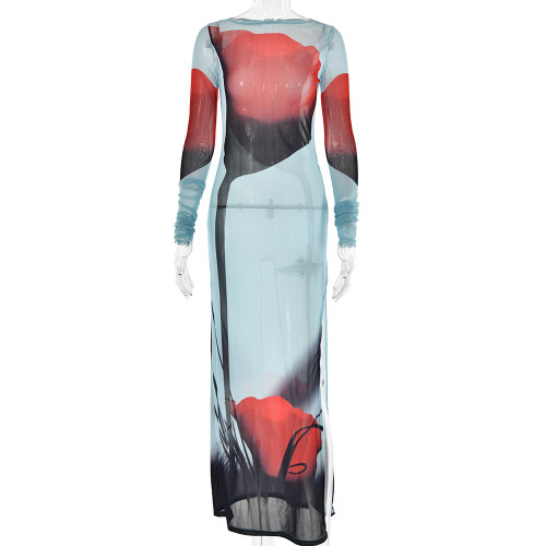 Printed Round Neck Sexy Mesh Perspective Split Dress