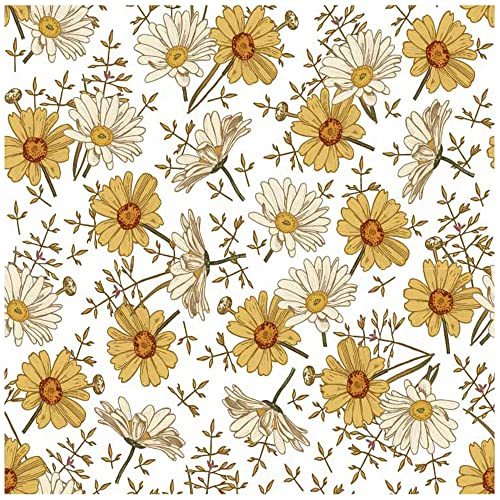🎁[US Free Shipping]  African Daisy 2022